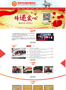 民間慈善協(xié)會(huì)-協(xié)會(huì)官網(wǎng)建設(shè)案例