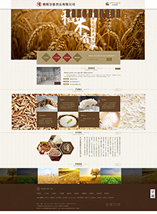 雅瑤華香農(nóng)業(yè)-營(yíng)銷型網(wǎng)站建設(shè)案例