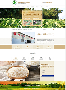 道西村合作社-營(yíng)銷型網(wǎng)站建設(shè)案例