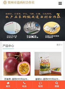 道西村合作社-營(yíng)銷型手機(jī)網(wǎng)站建設(shè)案例